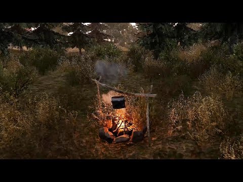 Will To Live Online-Костёр,уют,тухлое мясо...