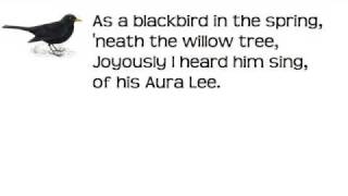 Aura Lee