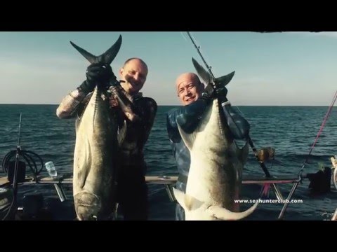 Spearfishing SAFARI PHUKET (04.01.2016)