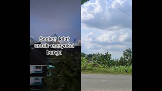 Download lagu satu hal yang perlu kita ketahui #shorts #qoutes #katakatabijak #viral mp3 Download lagu satu hal yang perlu kita ketahui #shorts #qoutes #katakatabijak #viral mp3