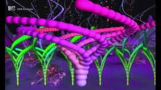 Future Sound of London : Lifeforms Path