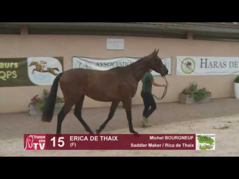 Concours AQPS Cercy 2016 Lot 15 : ERICA DE THAIX