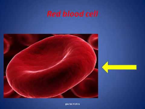 download lagu mp3 mp4 Rbchas, download lagu Rbchas gratis, unduh video klip Rbchas