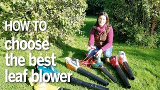 The best leaf blowers: our guide on how to buy and what to l