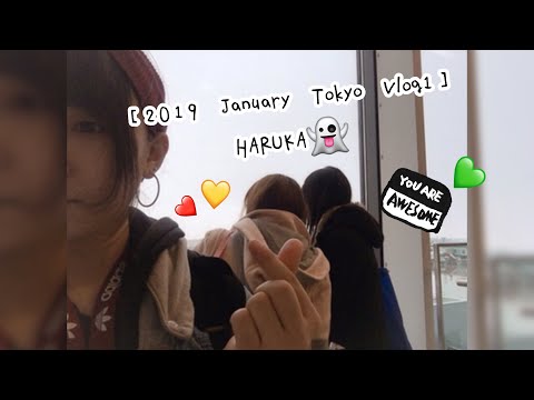 【2019 January Tokyo Vlog1】l HARUKA👻