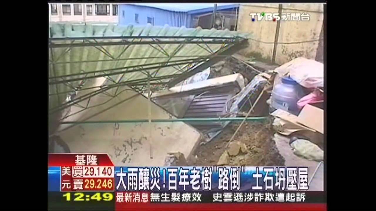 大雨釀災!百年老樹「路倒」 土石坍壓屋