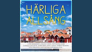 En kväll i juni (Han tog av sig sin kavaj)