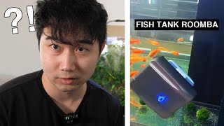 CRAZY Fish Tank Videos | Fish Tank Review 304