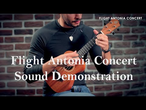 Обзор укулеле Flight Antonia C