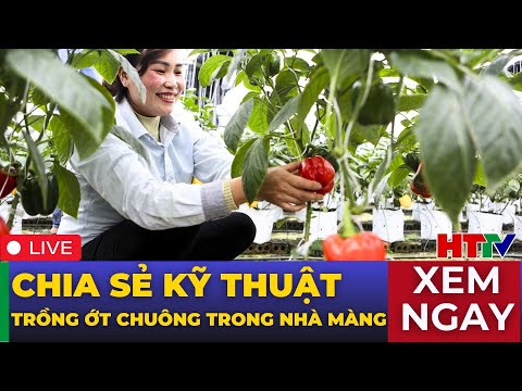 , title : '[Trực tiếp] Kỹ thuật trồng ớt chuông trong nhà màng | Đồng hành với nhà nông | Hà Tĩnh TV'