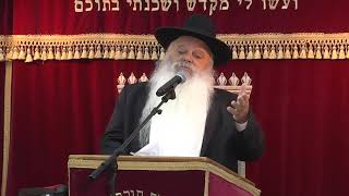 המבזה תלמיד חכם אין תרופה למכתו | קצרים | הרב דניאל זר