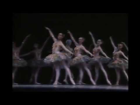 Mikhail Baryshnikov´s Don Quixote (Dream - act 2)