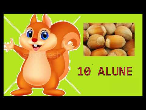 PROBA ADUNARII CLASA I