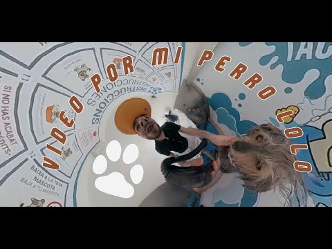 RUBEN PLATA - Mi perro (VIDEO GRABADO POR MI PERRO PAA)