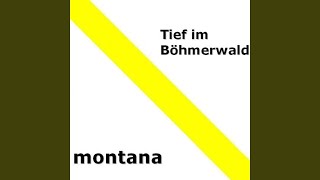 Tief drin im Böhmerwald