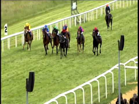 Galopprennbahn Dresden - 17.05.2014 - 6.Rennen