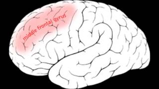 What are near death experiences?