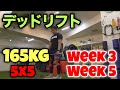 デッドリフトweek3,week5【ストロングマントレーニング】