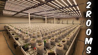 Building a 300 LIGHT COMMERCIAL GROW FACILITY!!! PART 3