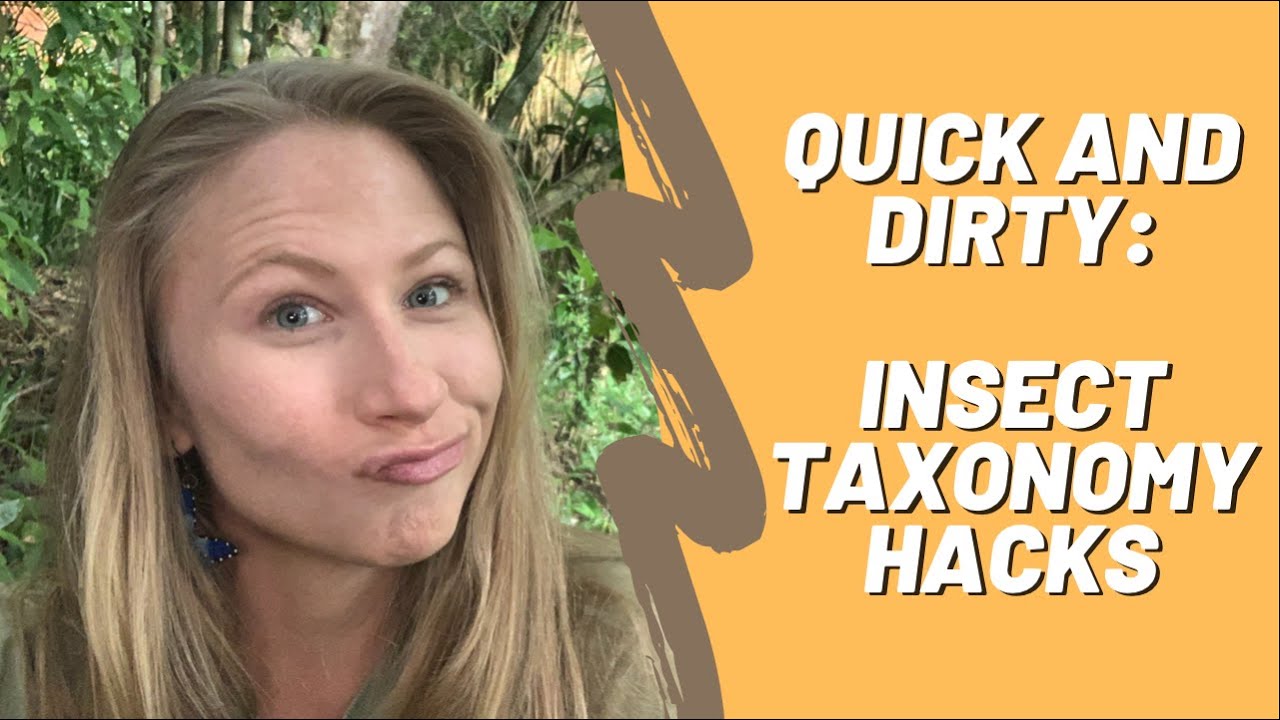 Alexa Explains: Insect Taxonomy Hack!