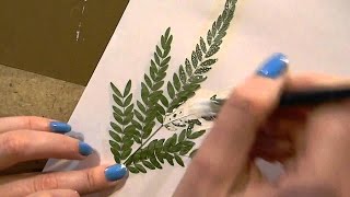 Как научится рисовать техникой оттиском растений - Видео онлайн