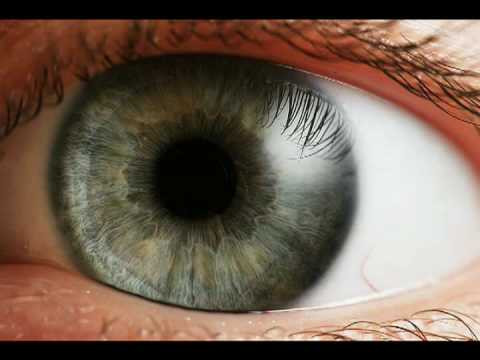 Paul Bley with Yitzhak Yedid 'Journey for two pianists'