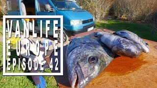 Vanlife Vlog: Armando 6th Birthday in the Van 711 views