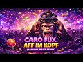 Caro Fux - Aff im Kopf (Raphael Maier Remix)