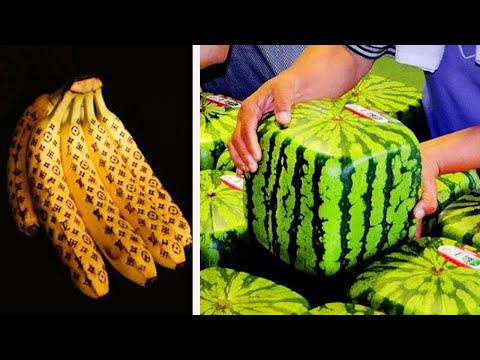 Insanely Expensive Foods for the Super Rich!