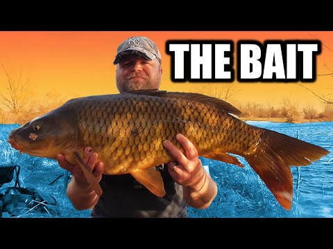 5 Carp Bait Recipes that Catch Fish! - Pack Bait for Carp Fishing