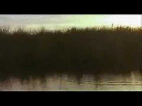 Winged Migration Video