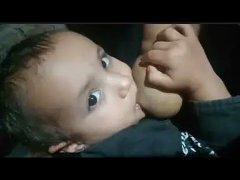 Mitwa 4K Video - KANK | Shahrukh Khan, Rani Mukherjee | Shafqat Amanat Ali, Shankar Mahadevan