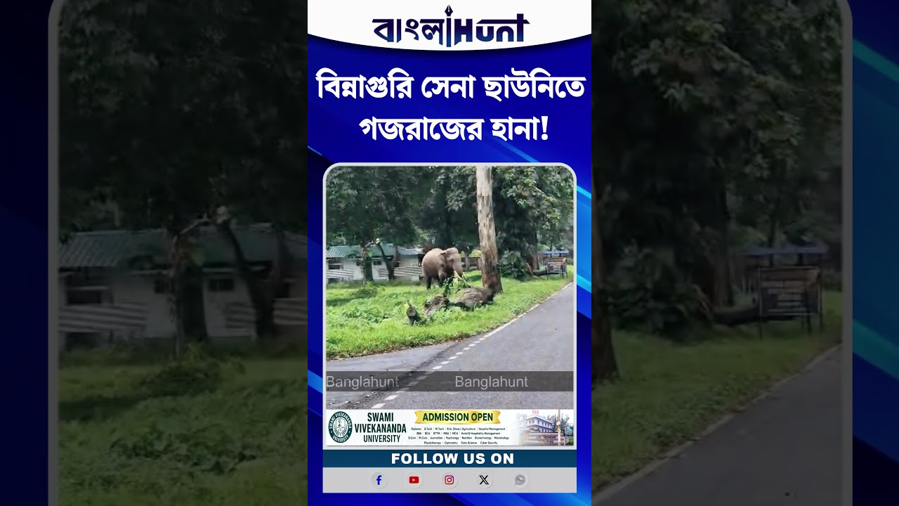 বিন্নাগুরি সেনা ছাউনিতে গজরাজের হানা!