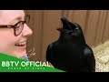 How To Befriend A Crow | 9 Reasons To Like Crows | BBTV Official DEFAULT Thumbnail