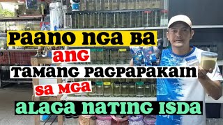 PAANO ANG TAMANG PAGPAPAKAIN SA MGA ALAGA NATING ISDA