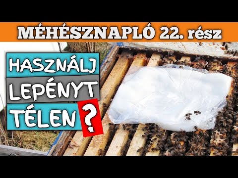 , title : 'Méhésznapló #22 - Használj cukorlepényt télen? 2020 🐝🍭'