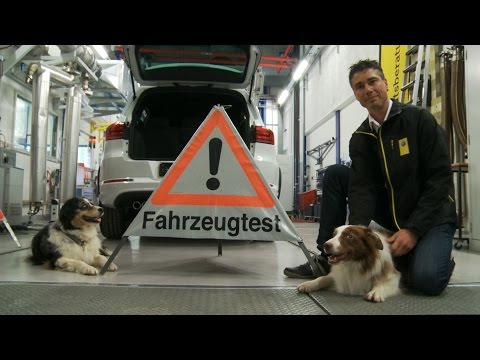 TCS-Test: Hitzefalle Auto