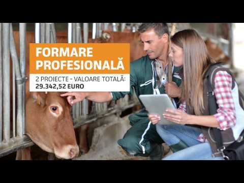 Poarta Transilvaniei - Spot