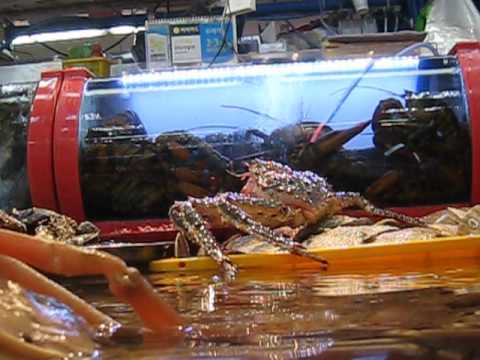 (釜山, 南韓)札嘎其市场。 活海鲜