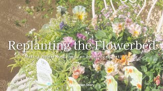 [Making winter flowerbed] Creating flower beds that can be enjoyed for about 5 months [Gardening]