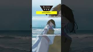 ドライフラワー Acoustic Arrange cover / そらる short ver.