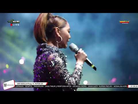 NEMEN //  INUL DARATISTA // ADELLA