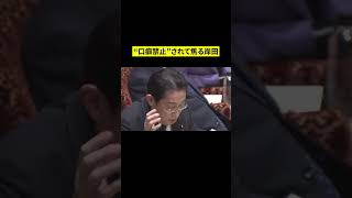 #おすすめ #shorts #政治 #国会 #岸田文雄