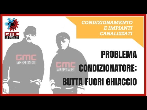 I vermi a un gattino e bambini di case che fare Semyonova che si pulisce da parassiti