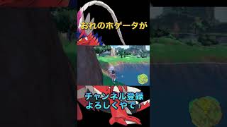 オレのホゲータがぁぁぁ【ポケモンSV】【まりお】【ホゲータ大好き】