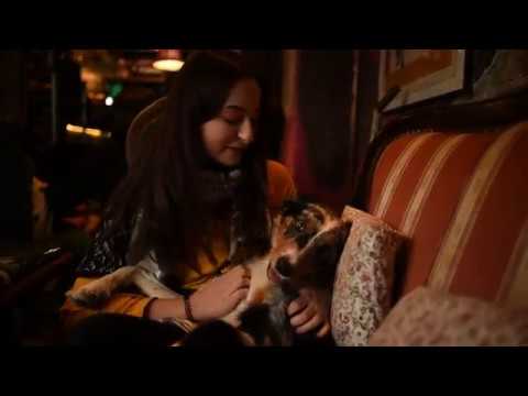 Sita Border Collie ♥  Birthday Movie - One Year