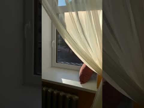 Петроградка❤️бесплатная парковка — xl.webp