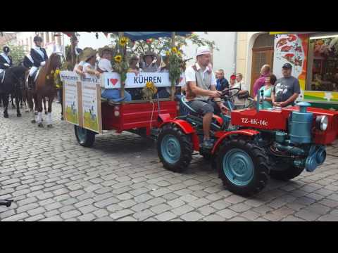 Festumzug Stadtfest Aken 21. August 2016
