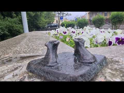 Walk around Lutsk#lutsk #ukraine #travel