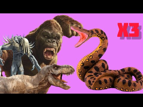 x3 Titanoboa VS T-rex, Goro, Scourge. Animal Revolt Battle Simulator mobile